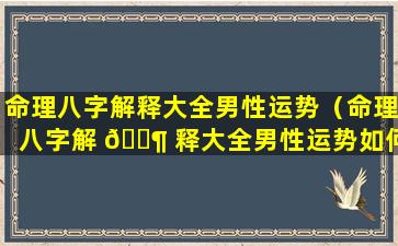 命理八字解释大全男性运势（命理八字解 🐶 释大全男性运势如何）